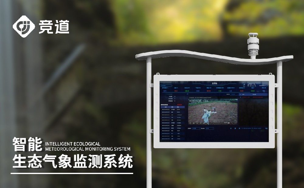 大氣負離子監測系統